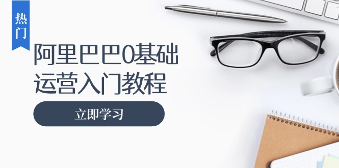 阿里巴巴运营零基础入门教程：涵盖开店、运营、推广，快速成为电商高手-财兔窝项目网
