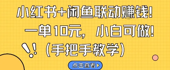 小红书+闲鱼联动挣钱，一单10元，小白可做-财兔窝项目网
