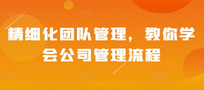 精细化团队管理，教你学会公司管理流程-财兔窝项目网