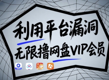 利用平台漏洞，无限撸网盘VIP会员，用户亲测有效!【漏洞原理+操作演示】-财兔窝项目网