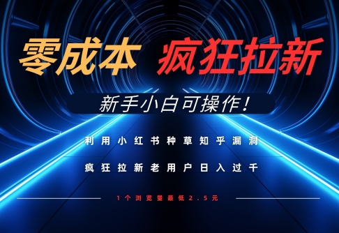 利用小红书种草知乎漏洞，零成本疯狂拉新日入数张，新手小白可操作-财兔窝项目网