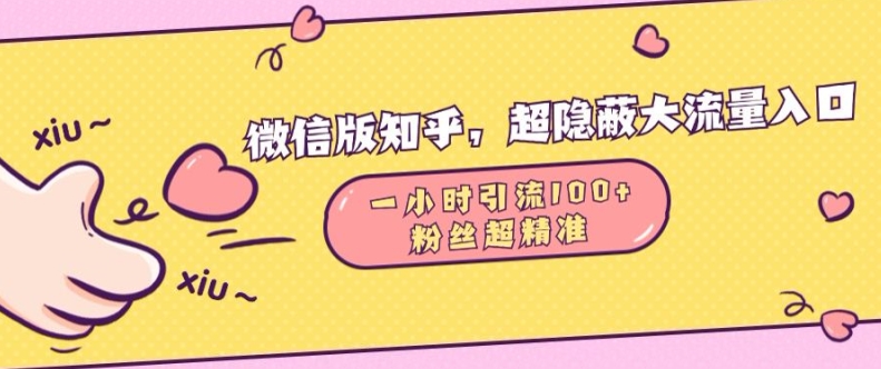 微信版知乎，超隐蔽流量入口1小时引流100人，粉丝质量超高【揭秘】-财兔窝项目网