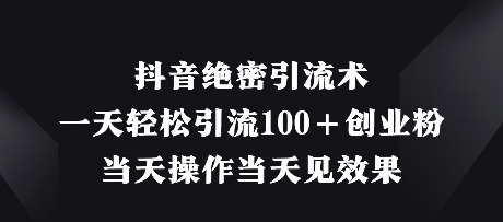 抖音绝密引流术，一天轻松引流100+创业粉，当天操作当天见效果-财兔窝项目网