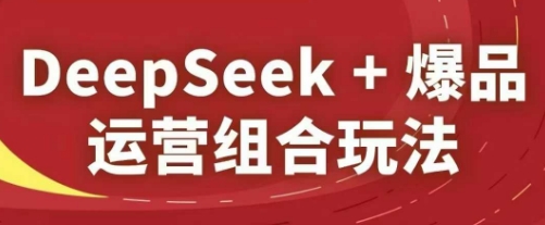 DeepSeek+爆品运营组合玩法，2025淘系精品课-财兔窝项目网