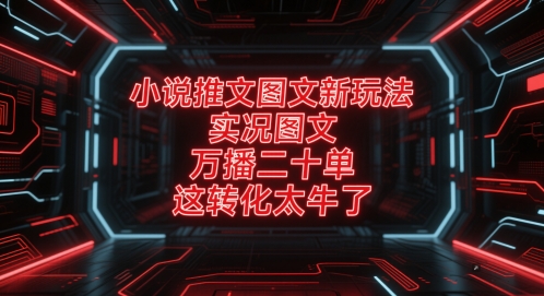 小说推文图文新玩法，实况图文，万播二十单，这转化太牛了！-财兔窝项目网