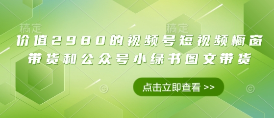 价值2980的视频号短视频橱窗带货和公众号小绿书图文带货-财兔窝项目网