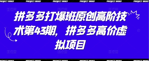 拼多多打爆班原创高阶技术第43期，拼多多高价虚拟项目-财兔窝项目网