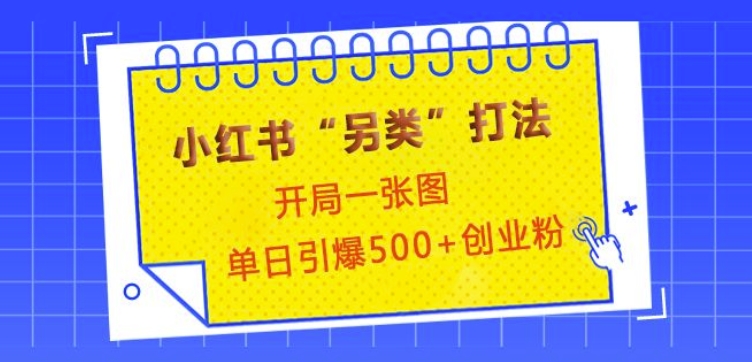 小红书“另类”打法，开局一张图，单日引爆500+精准创业粉【揭秘】-财兔窝项目网
