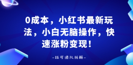 0成本，小红书最新玩法，小白无脑操作，快速涨粉变现-财兔窝项目网