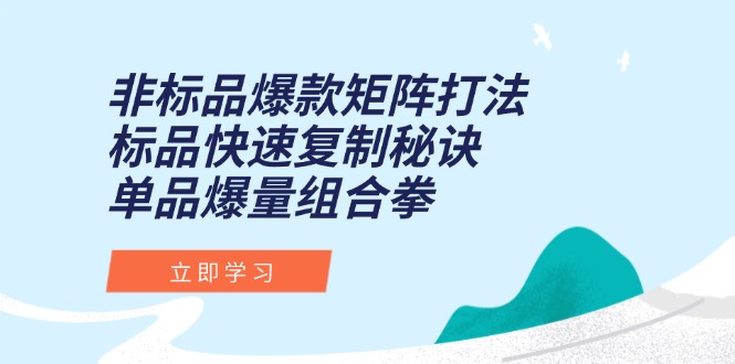 非标品爆款矩阵打法，标品快速复制秘诀，单品爆量组合拳-财兔窝项目网