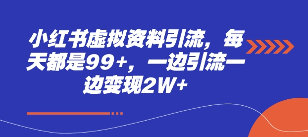 小红书虚拟资料引流，每天都是99+，一边引流一边变现2W+-财兔窝项目网