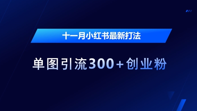 十一月小红书最新打法，单图引流300+创业粉【揭秘】-财兔窝项目网