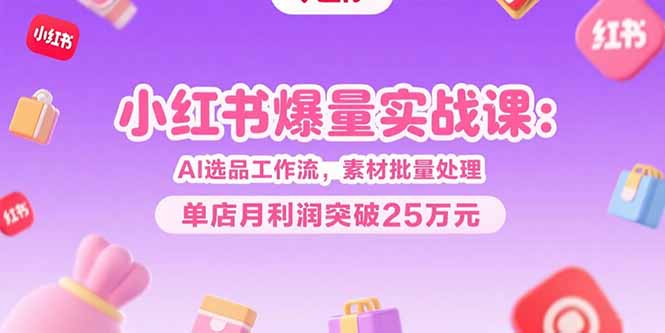 小红书爆量实战课：AI选品工作流，素材批量处理，单店月利润突破25万元-财兔窝项目网