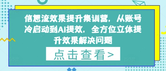 信息流效果提升集训营，从账号冷启动到AI提效，全方位立体提升效果解决问题-财兔窝项目网