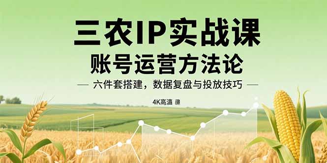 三农IP实战课：账号运营方法论，六件套搭建，数据复盘与投放技巧-财兔窝项目网