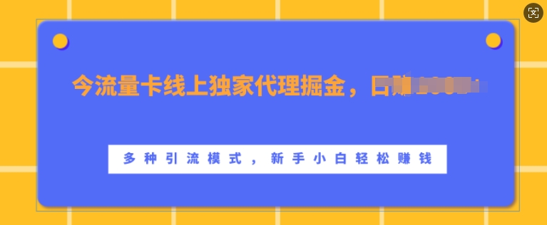 流量卡线上独家代理掘金，日入1k+ ，多种引流模式，新手小白轻松上手【揭秘】-财兔窝项目网