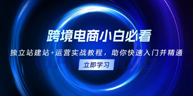 跨境电商小白必看！独立站建站+运营实战教程，助你快速入门并精通-财兔窝项目网