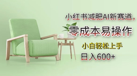 小红书减肥AI新赛道，零成本易操作，日入多张，小白轻松上手【揭秘】-财兔窝项目网