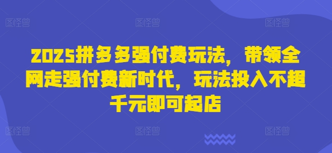 2025拼多多强付费玩法，带领全网走强付费新时代，玩法投入不超千元即可起店-财兔窝项目网