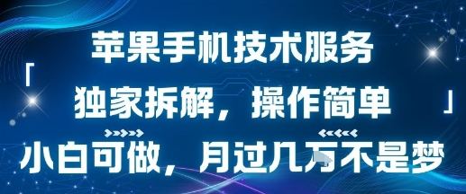 苹果手机技术服务，独家拆解，操作简单，小白可做，月过1W不是梦-财兔窝项目网