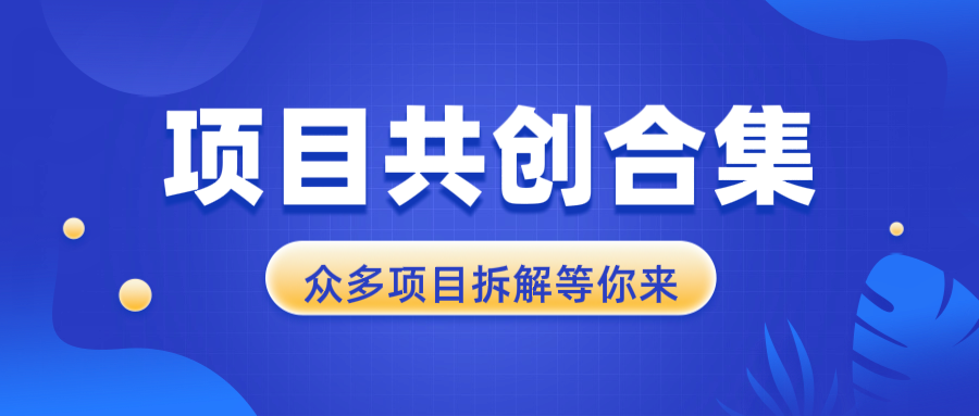 项目共创合集，从0-1全过程拆解，让你迅速找到适合自已的项目-财兔窝项目网