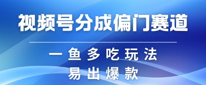 视频号创作者分成计划偏门类目，容易爆流，实拍内容简单易做【揭秘】-财兔窝项目网