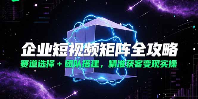 企业短视频矩阵全攻略，赛道选择+团队搭建，精准获客变现实操-财兔窝项目网