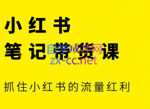 张宾·小红书笔记带货课(更新4月)-财兔窝项目网
