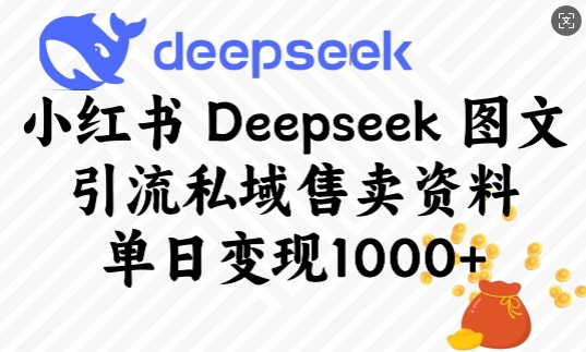 小红书Deepseek图文引流私域售卖资料，单日变现多张-财兔窝项目网