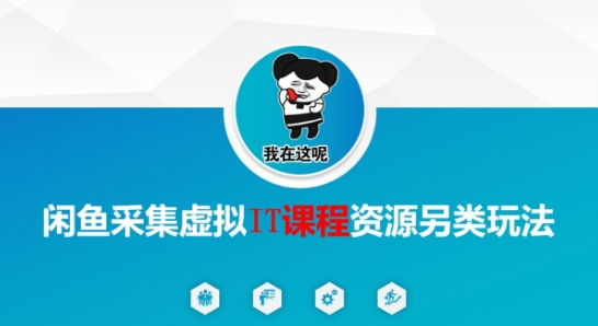 闲鱼采集虚拟IT课程资源另类玩法，干货满满-财兔窝项目网