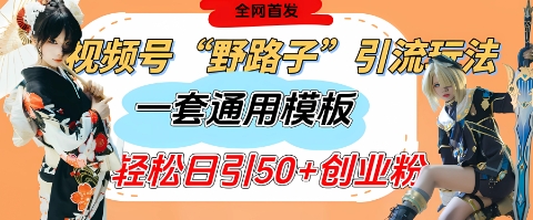 视频号“野路子”玩法，评论区疯狂截流，一套模板单日单号引流50+创业粉-财兔窝项目网