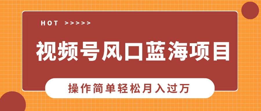 视频号风口蓝海项目，中老年人的流量密码，操作简单轻松月入过万-财兔窝项目网