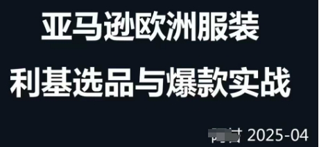 跨境电商选品案例24-25年，聚焦跨境电商选品策略与运营优化，助力卖家挖掘蓝海市场-财兔窝项目网