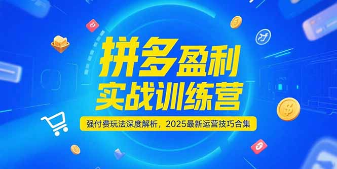 拼多多盈利实战训练营，强付费玩法深度解析，2025运营技巧合集-更新6月-财兔窝项目网