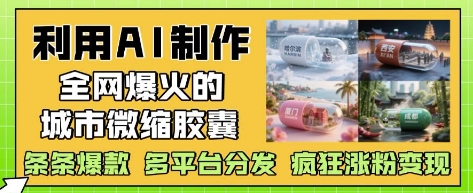 利用AI制作全网爆火的城市微缩胶囊，条条爆款， 多平台分发，疯狂涨粉变现-财兔窝项目网
