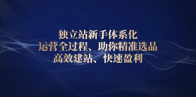 独立站新手体系化 运营全过程，助你精准选品、高效建站、快速盈利-财兔窝项目网