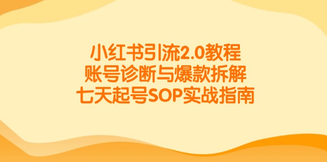 小红书引流2.0教程，账号诊断与爆款拆解，七天起号SOP实战指南-财兔窝项目网