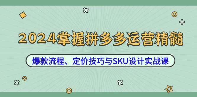 2024掌握拼多多运营精髓：爆款流程、定价技巧与SKU设计实战课-财兔窝项目网