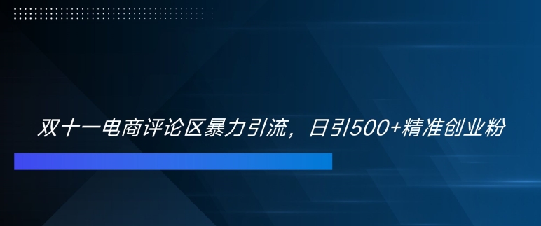 双十一电商评论区暴力引流，日引500+精准创业粉【揭秘】-财兔窝项目网