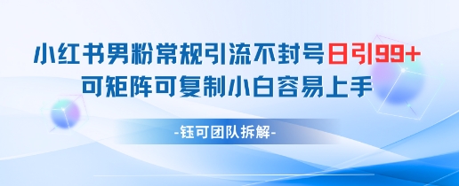 小红书男粉常规引流不封号日引99+变现简单 可矩阵可复制小白容易上手-财兔窝项目网