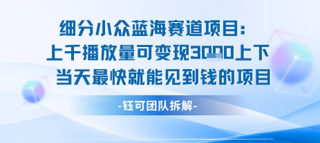小众蓝海赛道项目：当天变现1k+适合新手操作 +适合长期玩-财兔窝项目网