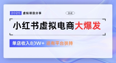 小红书虚拟电商项目，平台大力免费流量扶持，低门槛1拖3玩法-财兔窝项目网