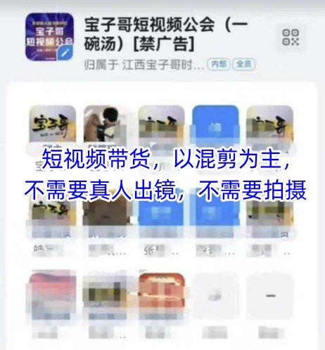 宝子哥头部团队短视频带货，以混剪为主，不需要真人出镜，不需要拍摄【更新】-财兔窝项目网