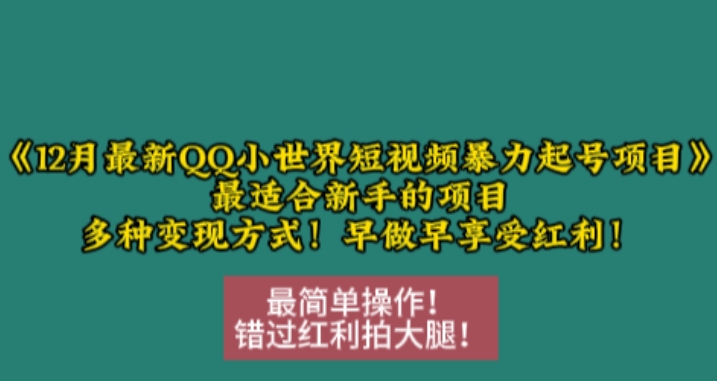 12月最新QQ小世界短视频暴力起号项目，最适合新手的项目，多种变现方式-财兔窝项目网
