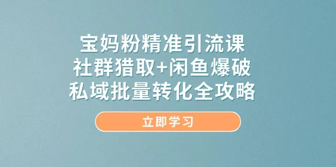 宝妈粉精准引流课，社群猎取+闲鱼爆破，私域批量转化全攻略-财兔窝项目网