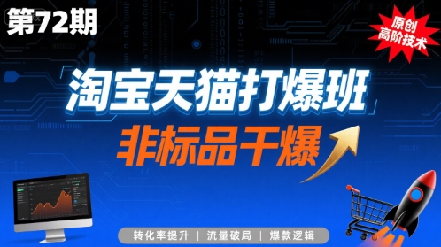 淘宝天猫打爆班原创高阶技术第72期，非标品干爆-财兔窝项目网