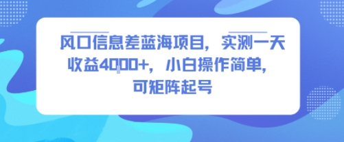 风口信息差蓝海项目，实测一天收益4k+，小白操作简单，可矩阵起号-财兔窝项目网