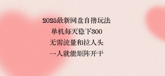 2025最新网盘自撸玩法，单机每天稳下3张，无需流量和拉人头，一个人就可轻松矩阵，全网独一份【揭秘】-财兔窝项目网
