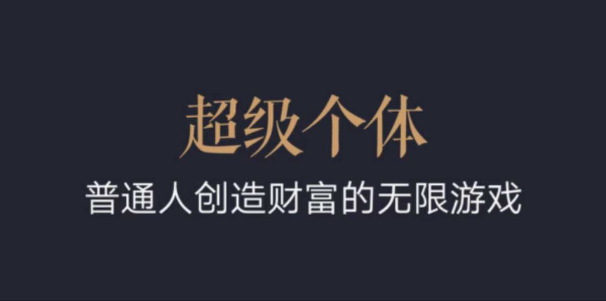 超级个体：2024-2025翻盘指南，普通人创造财富的无限游戏-财兔窝项目网