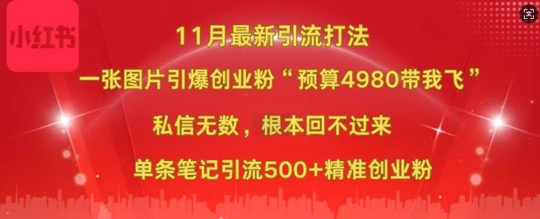 小红书11月最新图片打粉，一张图片引爆创业粉，“预算4980带我飞”，单条引流500+精准创业粉-财兔窝项目网